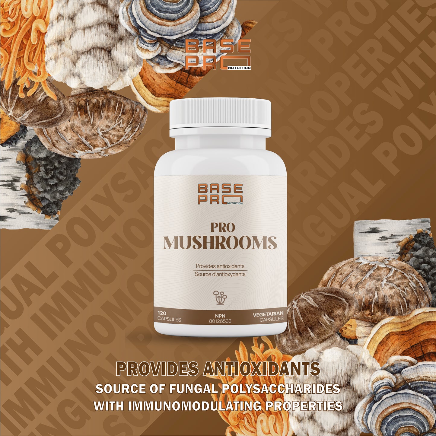 Pro Mushrooms - Capsules