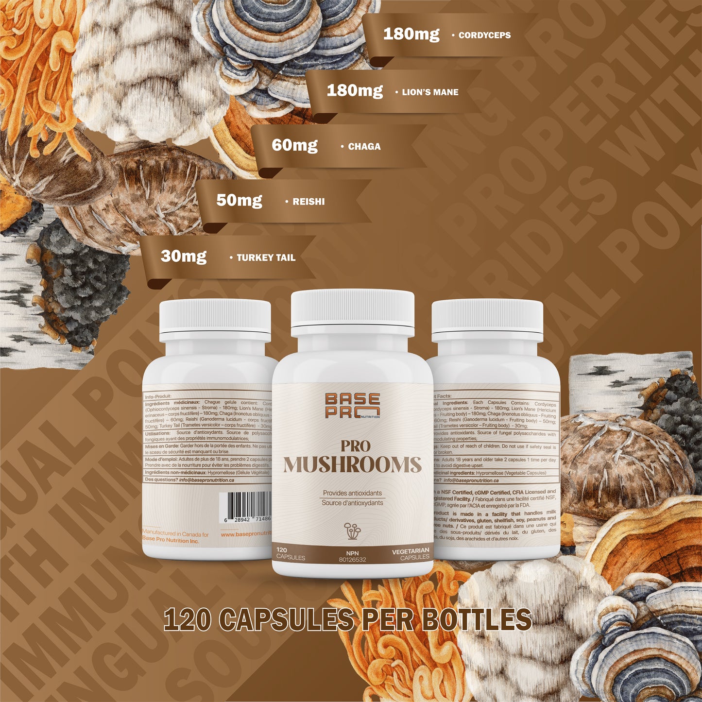 Pro Mushrooms - Capsules