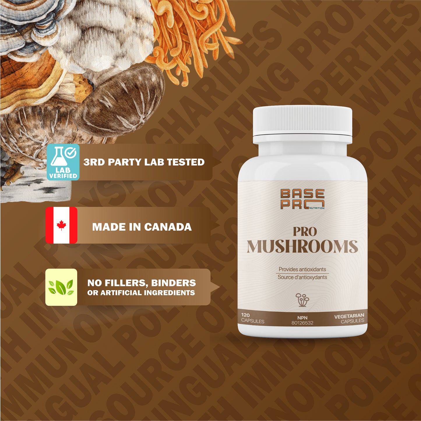 Pro Mushrooms - Capsules