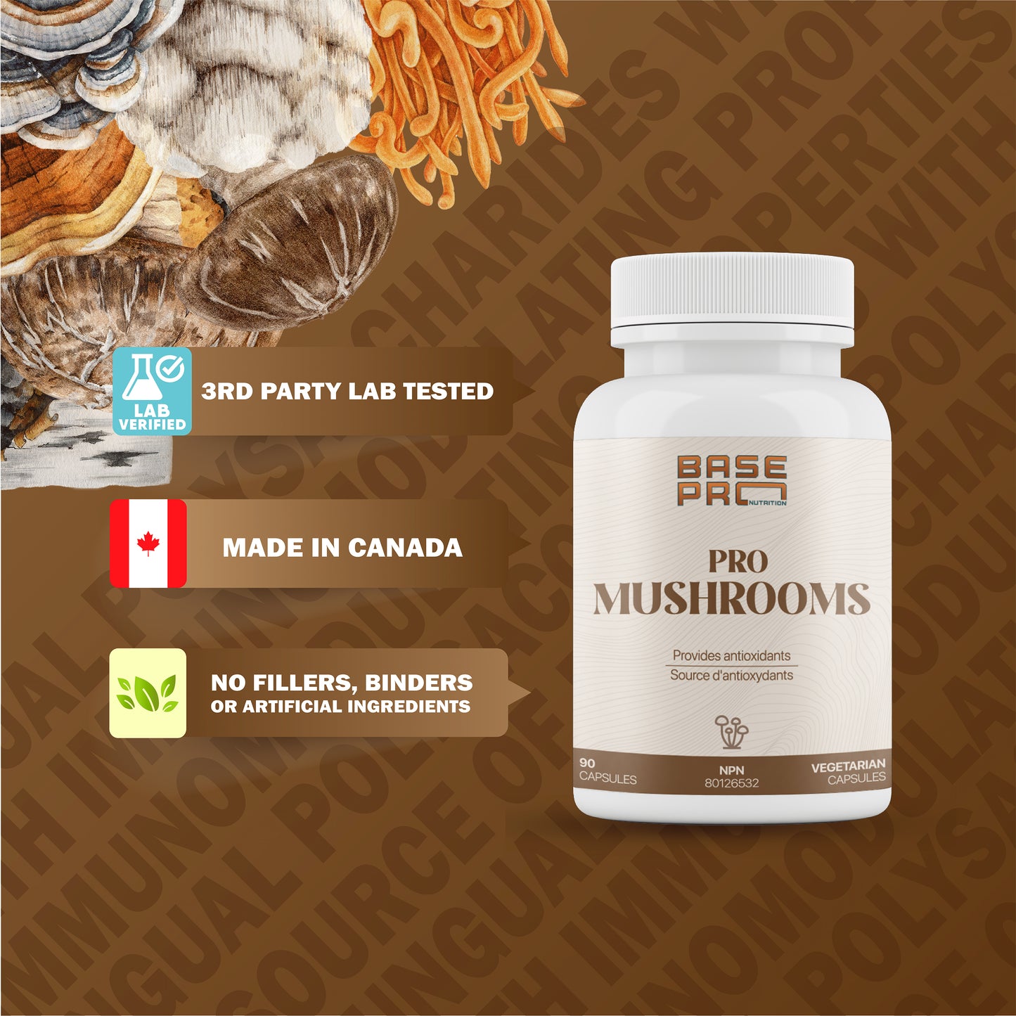 Pro Mushrooms - Capsules